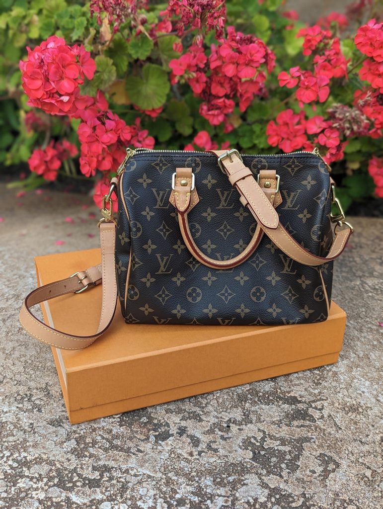 louis vuitton bags