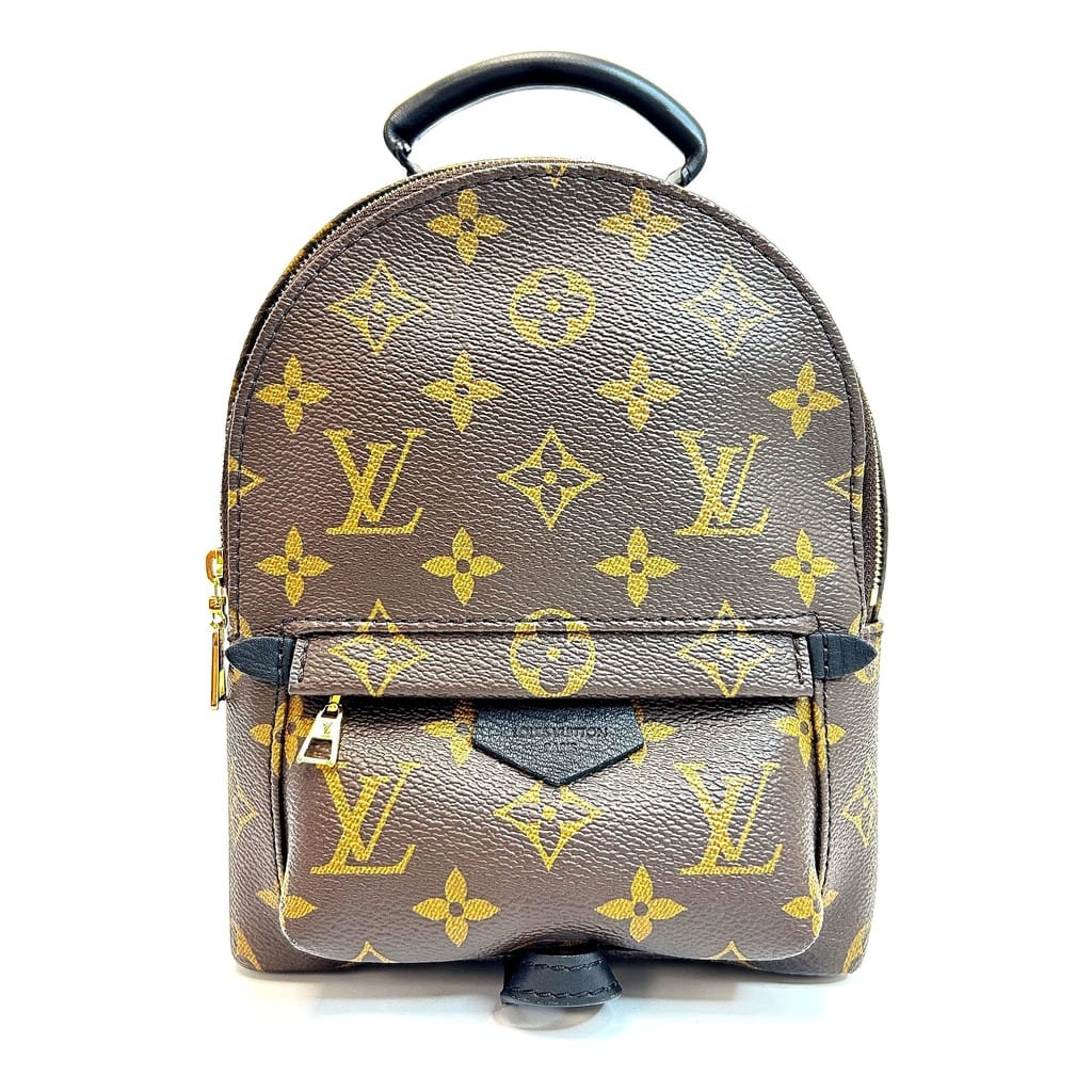 Louis Vuitton Palm Springs Mini Backpack front view