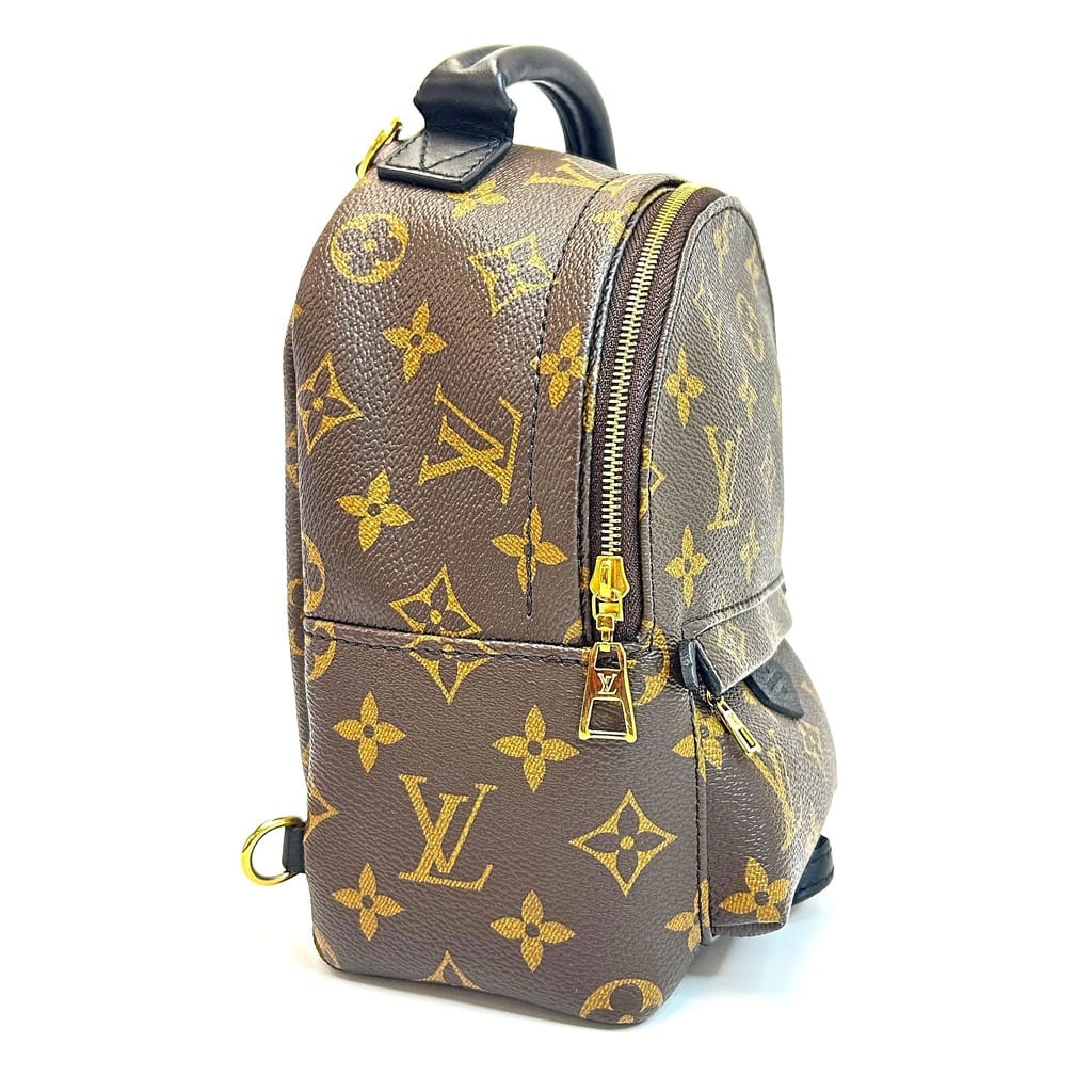 Interior view of the Louis Vuitton Palm Springs Mini Backpack