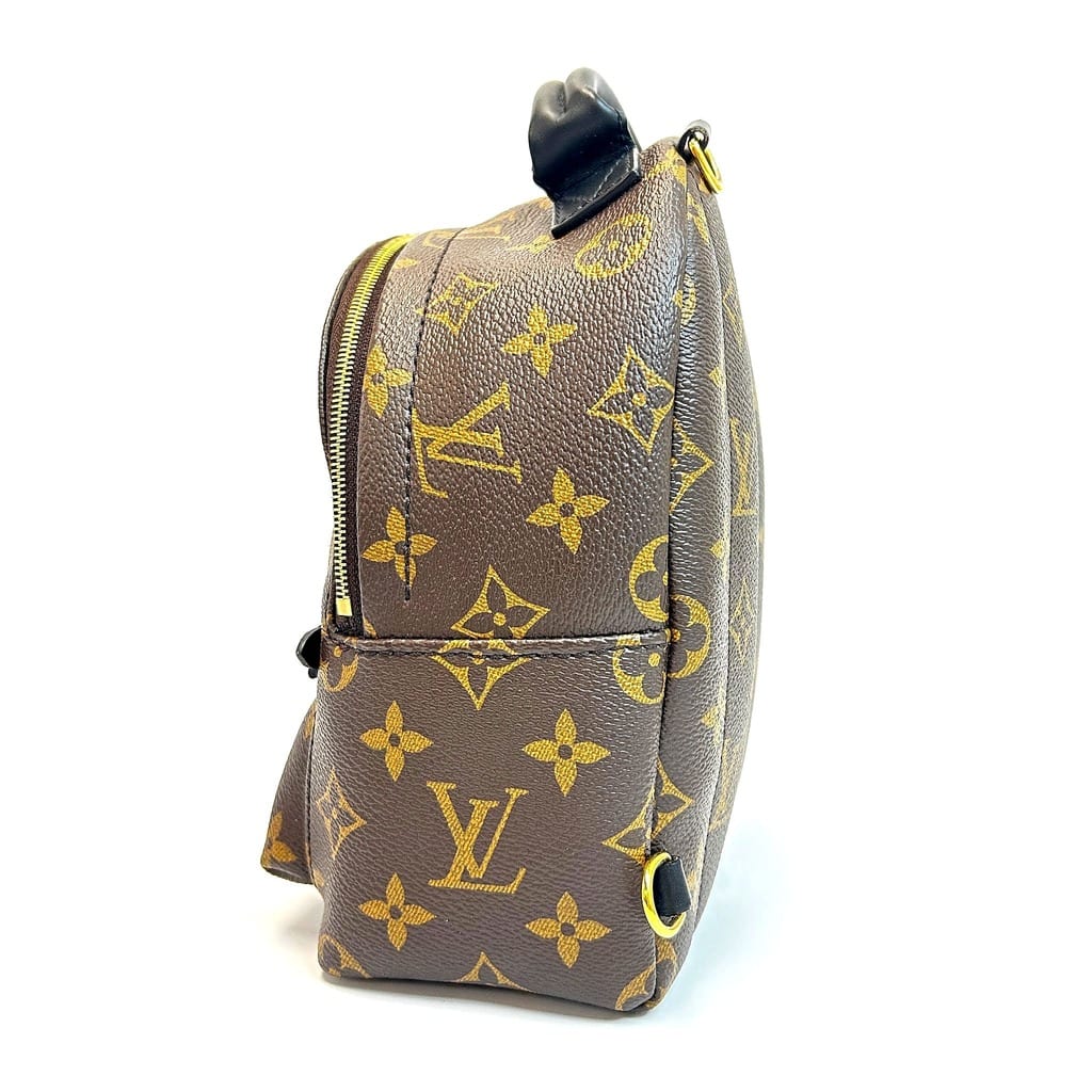 Back view of the Louis Vuitton Palm Springs Mini Backpack