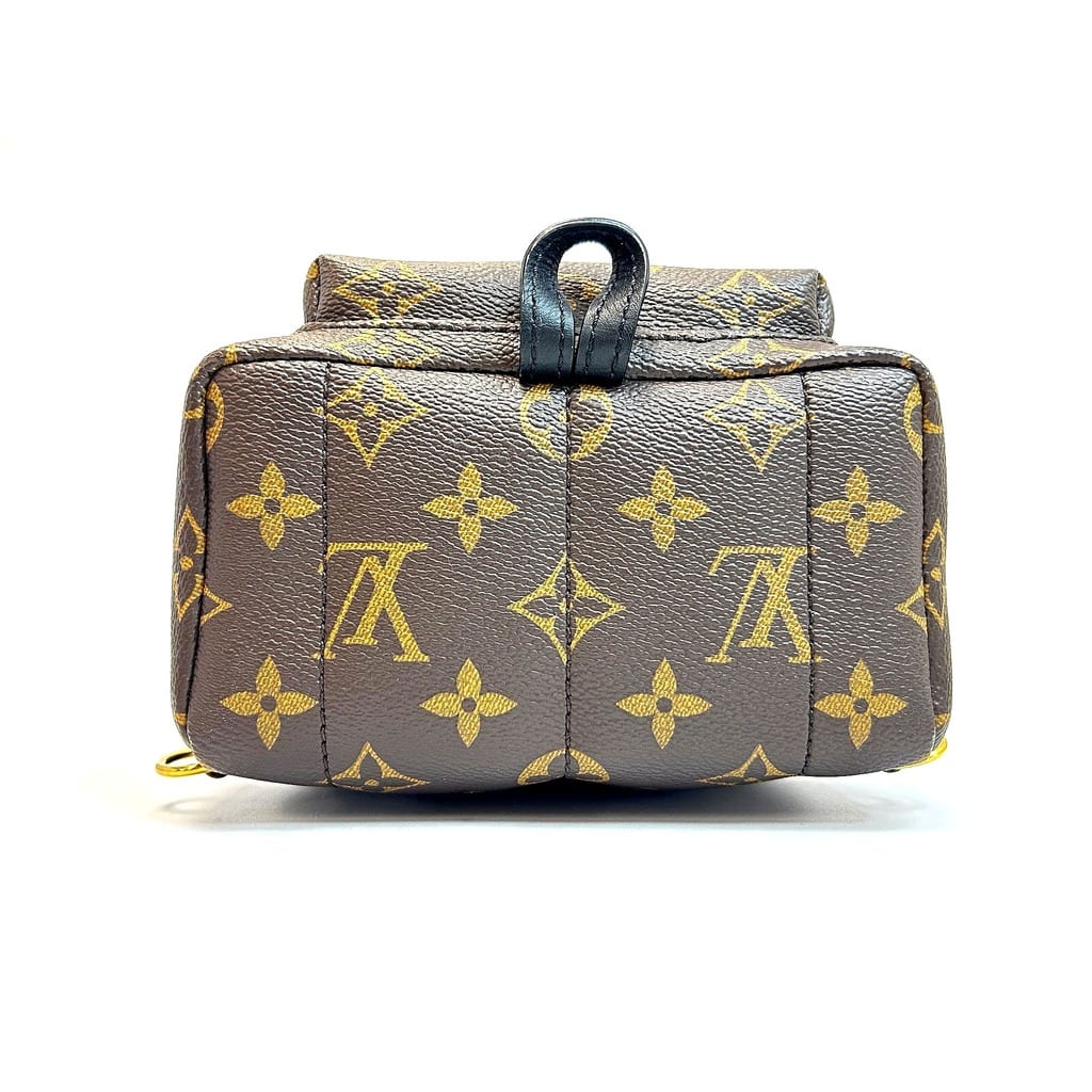 Louis Vuitton Palm Springs Mini Backpack with dust bag