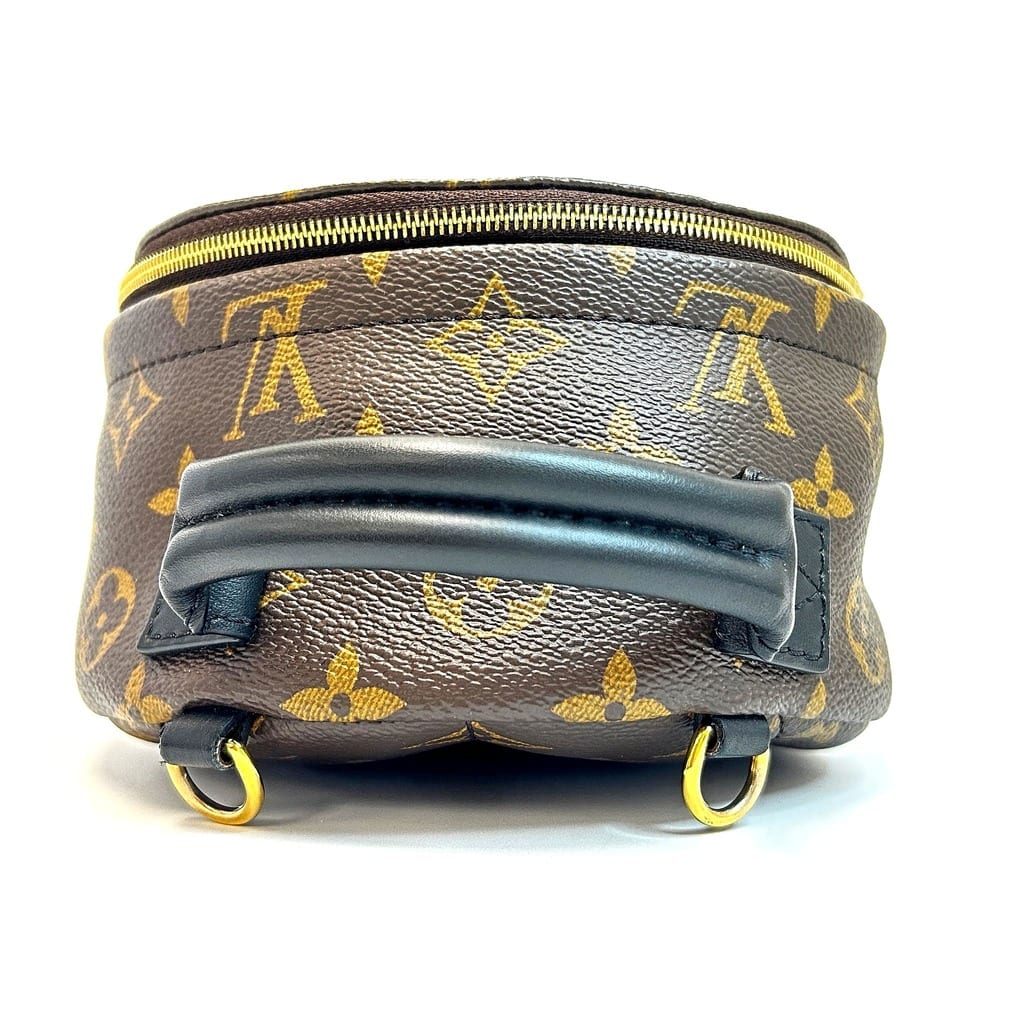 Louis Vuitton Palm Springs Mini Backpack with adjustable straps